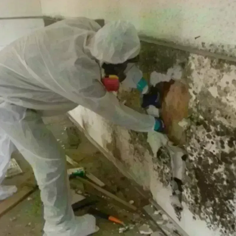 Mold Remediation and Removal in Hinsdale, MA